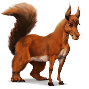 wild horse squirrel