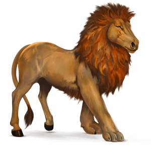 wild horse african lion