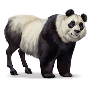 wild horse panda